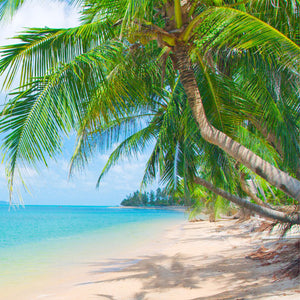 Caribbean Delight