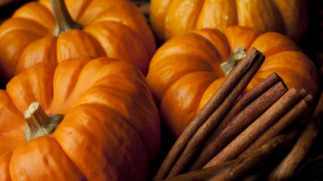 Pumpkin Spice (Fall Seasonal)